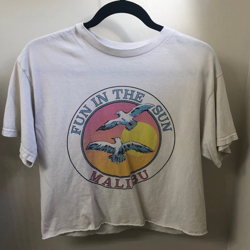 Brandy Melville Cropped Graphic Tee